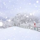 행복한 발자국 이미지