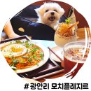 부산 광안리 브런치카페 애견동반 가능한 모치플레지르