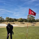 에이스골프클럽 이미지