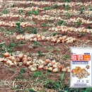 풍농비료 이미지