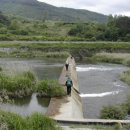 요천제방길 이미지