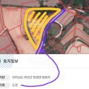 G2431 네이버블로그