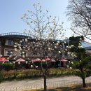 한남대학교 이미지