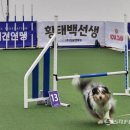 정해용 축사 네이버블로그