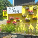 모꼬지펜션 | 여름방학 물놀이하기 좋았던 대성리 단체펜션 모꼬지펜션, 마트 와캠핑 어플 이용후기