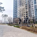 시립영통자이어린이집 이미지