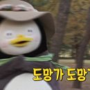 강남-116 이미지