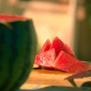 수박이네 이미지