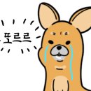 햅독 이미지