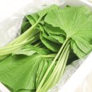 두루미 농원 이미지