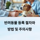 헤이븐동물병원 이수점 | 반려동물 등록 절차와 방법 및 주의사항 바로 알기