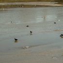 e-편한세상아파트 이미지