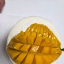 스피드메이트 반송행복가득한점 | 창원 반송시장 디저트 맛집 소안, 입안 가득 행복해지는 생망고 케이크 후기
