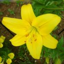 사곡3리 이미지