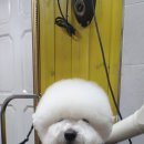 생명강지역아동센터 이미지