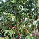 정모농장 이미지