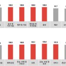 코바코 노컷뉴스