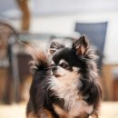 W&W(와앤와) 이미지