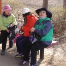 분당-281 이미지