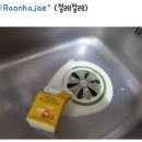허니크림 이미지