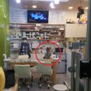 들어오시개 이미지