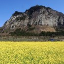 꼬닥꼬닥 이미지