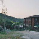 야생초마을아미골 이미지