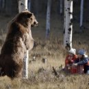 그래그래 이미지