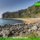 DK하우스 | 실속있는 제주 숙소 제주 DK 하우스 펜션