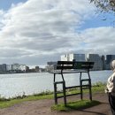 모닝캄호스텔 | [암스테르담 🇳🇱] Day 13, 14. 2주짜리 유럽여행의 마무리