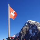 플로라민박 이미지