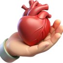 백돈가 | 속초 근고기 맛집 백돈가 n차 방문후기 맛있는 돼지고기집