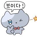 예뻐질고양 이미지
