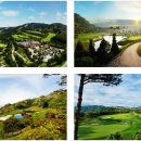 대명골프클럽 이미지