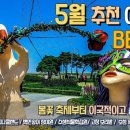 여행하기 좋은 5월 국내 추천 여행지 베스트7 이국적인 수목원 부터 장미축제, 튤립축제부터 보성녹차밭까지 5월에 놓치지 말아야 할 여행 이미지