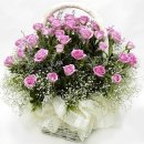 바구니농원 이미지