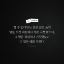 디자인 날마다
