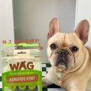 앤디스펫컴퍼니 | 와그 🦘캥거루져키🦘 후기🤎