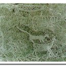 대곡리 암각화 이미지