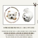 하쿠나마타타 | 세상에 단 하나뿐인🤍 하쿠나마타타 머그컵 후기(강아지 머그컵 주문제작)