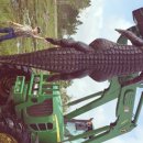 플로리다 농장 이미지