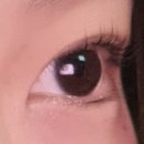 하이영 | [양주_덕계역]속눈썹펌 추추추천_하이영