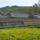 장안제일약국 이미지