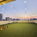 푸치푸치 | 파주 운정 다율동 애견카페 푸치베이 방문후기