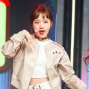 사랑스럽댕 빅데이터뉴스