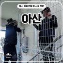 H2400 | 아산휀스 펜스 - “경계 문제 한 번에 끝! 아산펜스 설치 현장 리얼 스토리”