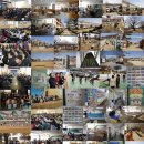 양성초등학교 이미지