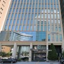 Pet stay 1455 A | 메리어트 알로프 서울 강남 숙박후기 2024.3.19.