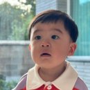 선흘초옥 이미지