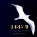 갈매기의 꿈 이미지